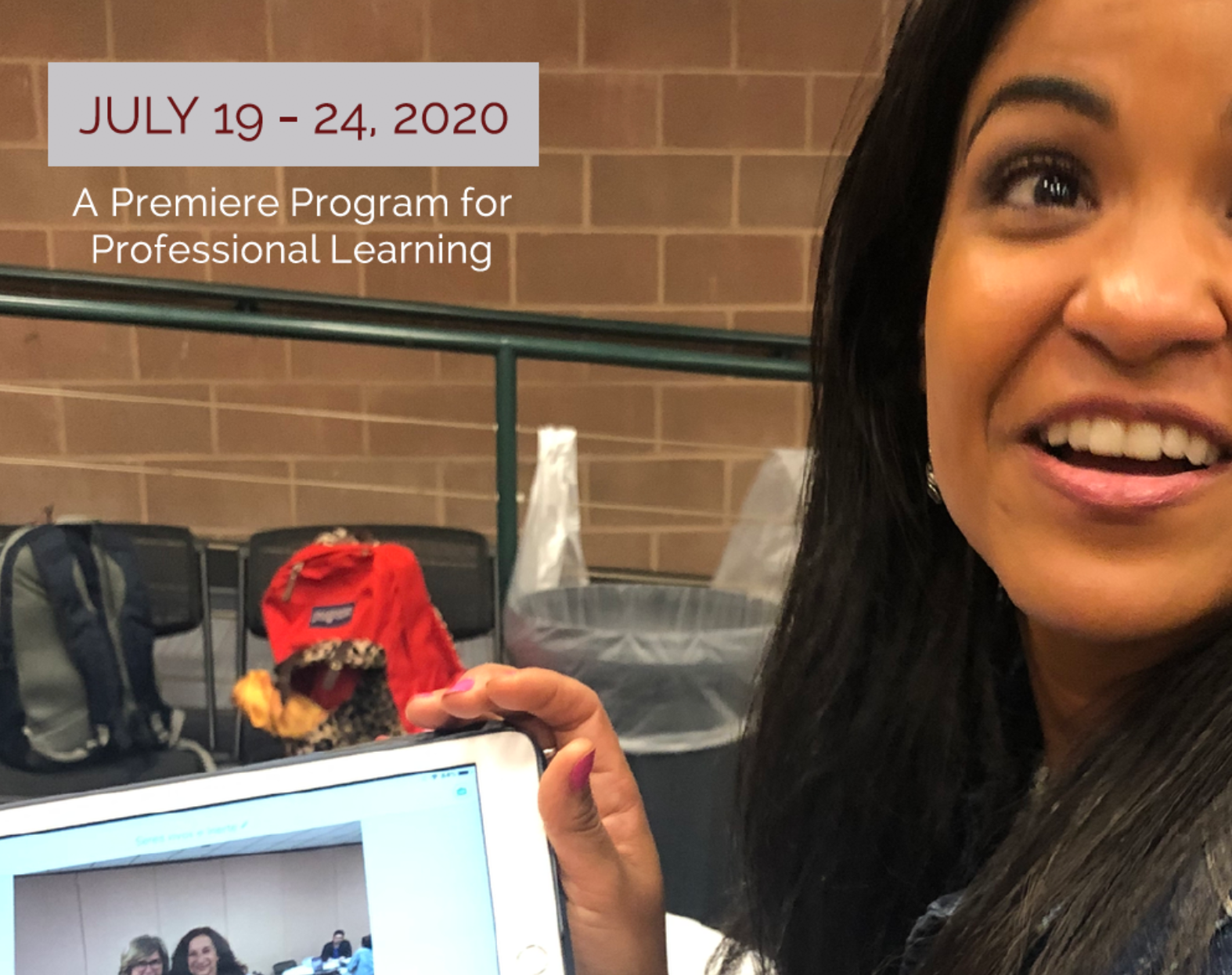 Webinar: Summer Institute 2020 in Chicago 